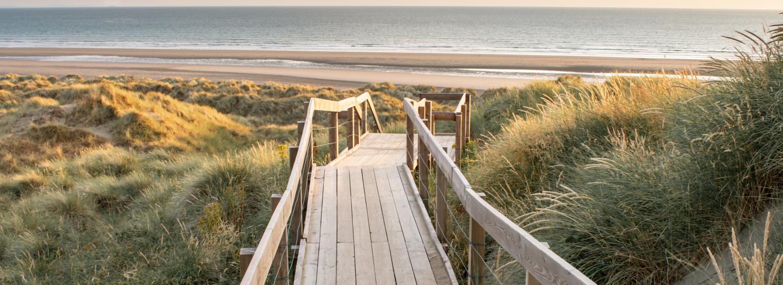 Ynyslas Beach